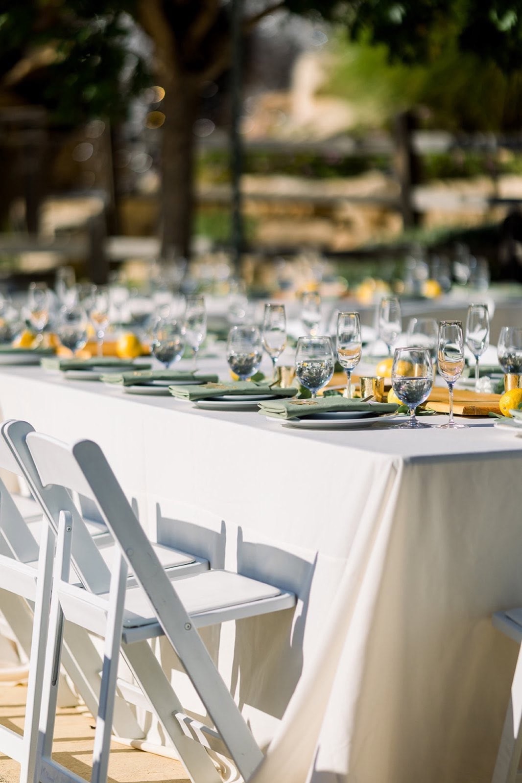 Grapevine Catering cuisine and events, selection 2